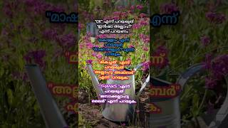 ഇസ്ലാമിക ശീലങ്ങൾ shortvideo shorts viralshort [upl. by Gareth]