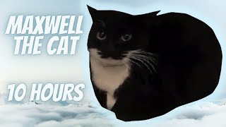 Maxwell the Cat Theme 10 Hours [upl. by Enitsyrhc]