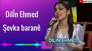 دلين احمد شڤكا باراني DilÎn Ehmed Şevka baranê Video Music Kurdish Official [upl. by Crandell]