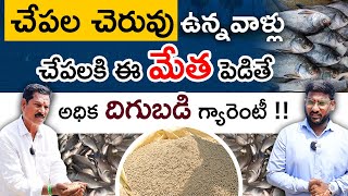 Fish Farming In Telugu  Feed Management in Fish Ponds  చేపల పెంపకంలో మేతల యాజమాన్యం  Kaikaluru [upl. by Arimihc]