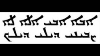 Why should we protect endangered languages  Nicholas Ostler [upl. by Ahtebat]