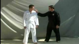 Body Mechanics for Tai Chi HsingI and Bagua  Part 1 [upl. by Kenward]