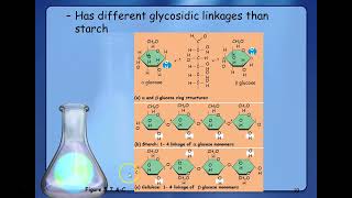 4 Macromolecules Carbohydrates and Lipids [upl. by Gnek]