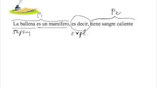 Análisis de oraciones coordinadas [upl. by Donell]