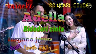 Bidadari cinta karaoke  adella lusyanajelita [upl. by Limaa]