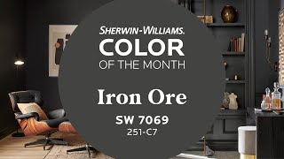 March 2022 Color of the Month Iron Ore  SherwinWilliams [upl. by Enawtna789]