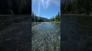 Swinging fies for Atlantic Salmon on the Gaspe Fly Fishing fishing flyfishing flyfisherman [upl. by Roxane]