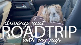 Driving East  Roadtrip with My Pup  October 2022 [upl. by Neiviv]