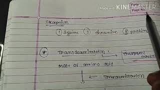 General metabolism of amino acids [upl. by Festa]