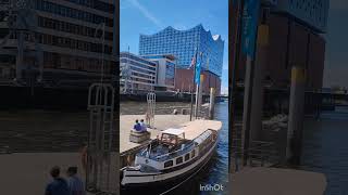 Hamburg 🇩🇪 HafenCity ⚓ 🛳️ 💦 🐬 🇹🇷 29072024 [upl. by Elegna913]