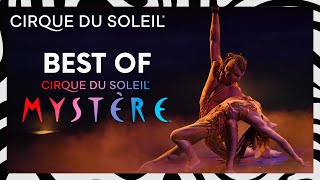 Best of Daring Acts  Cirque du Soleil [upl. by Enylcaj]