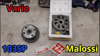 Tuto montage variateur malossi sur embrayage peugeot 103 [upl. by Petty449]