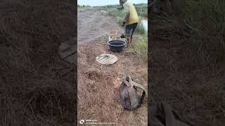 Panen ikan saat musim kemarau part 1 fishing [upl. by Mable]