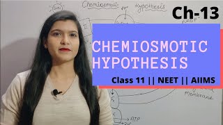 Ch13 Photosynthesis L04 Chemiosmotic Hypothesis  Class 11  NEET  AIIMS [upl. by Aisela]