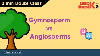 Angiosperms Vs Gymnosperms  Quick 2 min Comparison  Basic Concept  Slate and Pencil [upl. by Anidnamra]