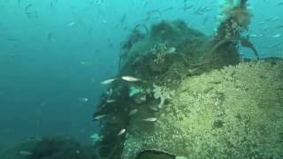 SS Grecian Shipwreck Dive [upl. by Koziarz161]