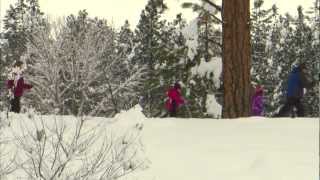 CrossCountry Skiing Winthrop Washington [upl. by Wilow82]