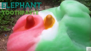 Experiment Baking Soda and Vinegar Big Elephant Toothpaste [upl. by Pepita148]