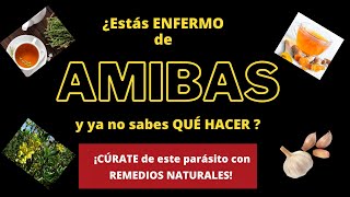 ¿ESTÁS ENFERMO DE AMIBAS Y YA NO SABES QUÉ HACER ¡Cúrate de este parásito con remedios naturales [upl. by Bidget]