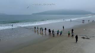 Pesca de arrasto na Praia dos Ingleses [upl. by Rheims]