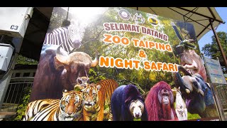 Family Daytrip Taiping Zoo Wonder Farm Mushroom Brothers Fishing Club pond 1 day fun family trip [upl. by Arbua]