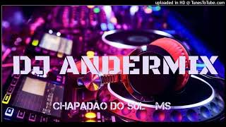 DJ ANDERMIX MS  SUBINDO E DESCENDO  MEGAFUNK GRAVÃO 2K23 [upl. by Ahtoelc142]