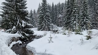 Riesengebirge  Krkonoše [upl. by Ecyak]