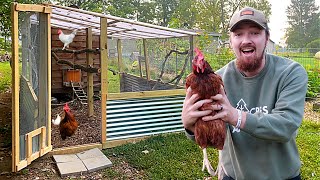 FARMER Builds DREAM Chicken Coop Run And PLAYGROUND [upl. by Melanie]