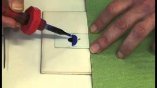 Preparing a microscope slide [upl. by Ebneter]