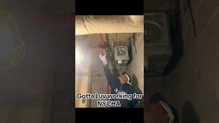 NYCHA Worker Handles a Rat like a Boss 🤣🤣 nyc nycha rat funny [upl. by Gilson169]