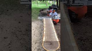 Throwback to the NICEST Walnut Log I’ve Ever Milled chainsawmill sawmill oddlysatisfying [upl. by Nevin]