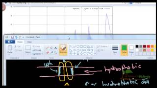 Bioinformatics practical 21 how to find transmembrane region in protein sequence [upl. by Novets]