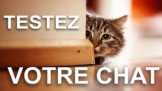 TESTEZ VOTRE CHAT [upl. by Yseulta422]