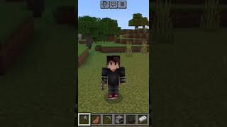 edit point minecraft poi poi viralviddeo [upl. by Ara910]