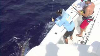 Marlin fishing 42 yellowfin High Standards team [upl. by Asylem]