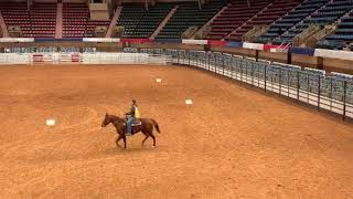 Western Horsemanship Class  Fort Worth Stock Show Horse Judging Competition 2022 [upl. by Lartnom]