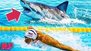 Michael Phelps vs Shark  EVERYONE LOSES [upl. by Larsen]