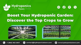 Boost Your Hydroponic Garden Discover the Top Crops to Grow  Hydroponics Town [upl. by Roche]