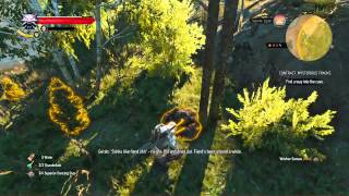 The Witcher 3 Wild Hunt Where is the CROWS eye part 1 [upl. by Eda96]