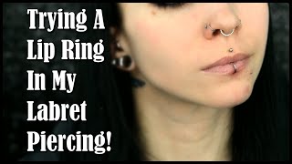 Trying a LIP RING In My Labret Piercing  First Time [upl. by Alcus]