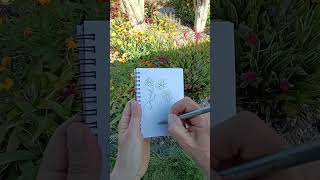 2 quotDrawing TINY FLOWERS Inspired by New Zealand Gardensquot pleinairart drawing newzealand [upl. by Dann553]