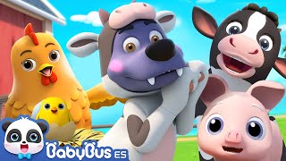 Canción de Granja  Canciones Infantiles  Videos para Niños  BabyBus en Español [upl. by Battiste]