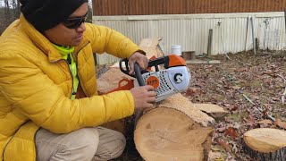 Stihl mc 201 TCM  Testing my new Chainsaw [upl. by Rosalynd94]