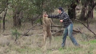 The Heartbreaking Reason Why The Man Who Punched A Kangaroo Was In The Outback [upl. by Nyltyak]