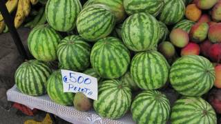 Farmers Market at Zapote San José Costa Rica [upl. by Fidelia169]