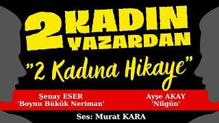 quotBoynu Bükük Nerimanquot quotNilgünquot Türk Edebiyatından Hikayeler  Sesli Kitap Dinle [upl. by Oilerua]