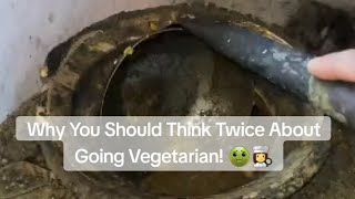 This Vegetarian Kitchen Nightmare Will Shock You  KitchenFail  ChefDisaster  FoodBlogger [upl. by Helge180]