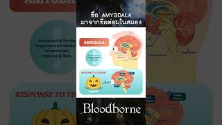 ชื่อของ Amygdala มาจากชื่อต่อมในสมอง bloodborne games เกมกับshorts [upl. by Dygal]