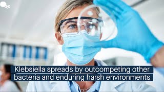 Outcompeting other bacterial species and surviving harsh conditions promotes Klebsiella transmis [upl. by Holcomb]