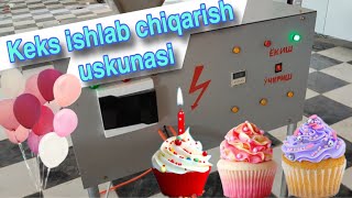 Keks ishlab chiqarish Uskunasi 2024 Shirinliklar Tort quvonchbekabdixalimov [upl. by Eissac528]